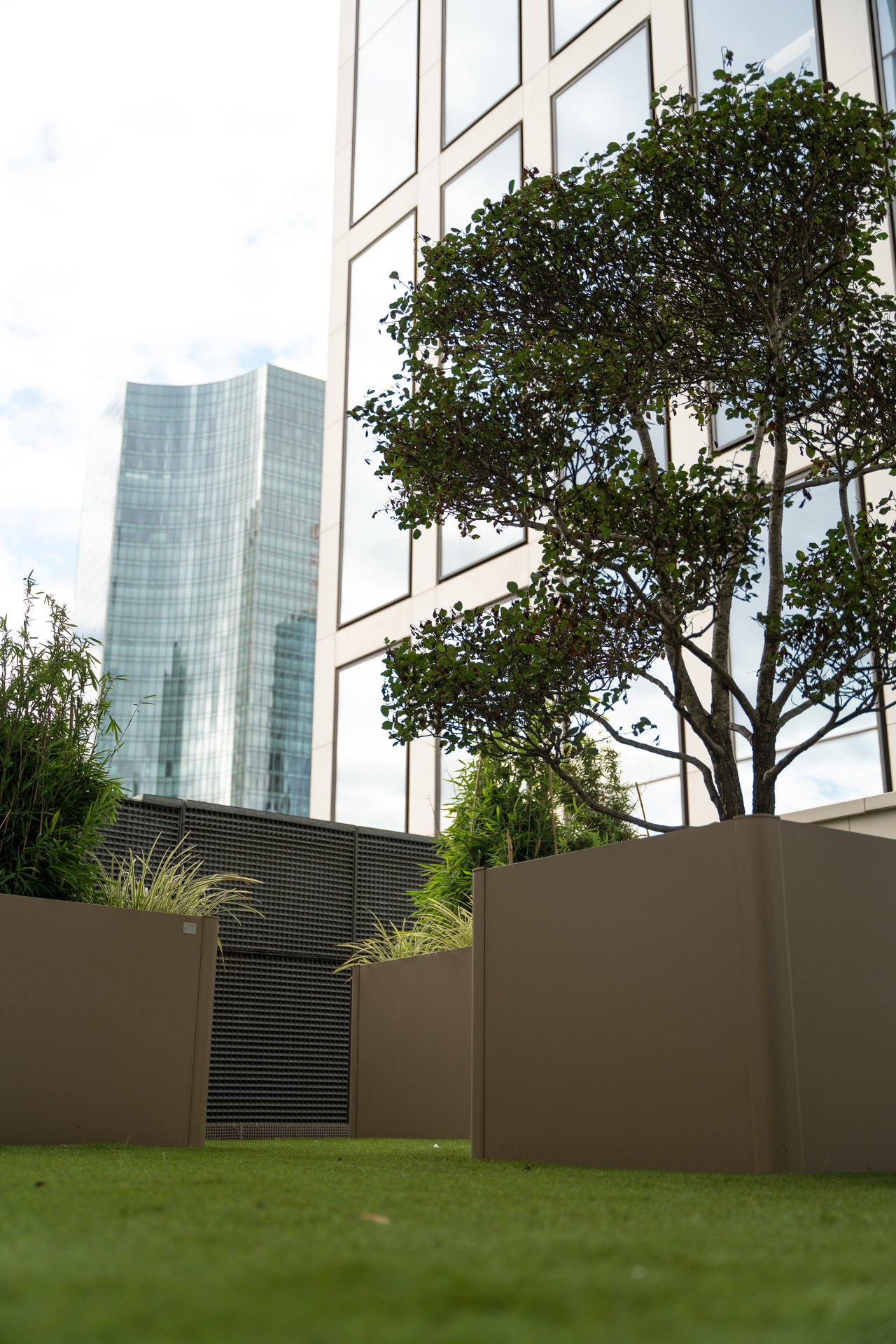 Dachterrasse mit hitzeverträglichen Gräsern und Gehölzen in großen Pflanzkübeln, angelegt von Calis Gartenbau