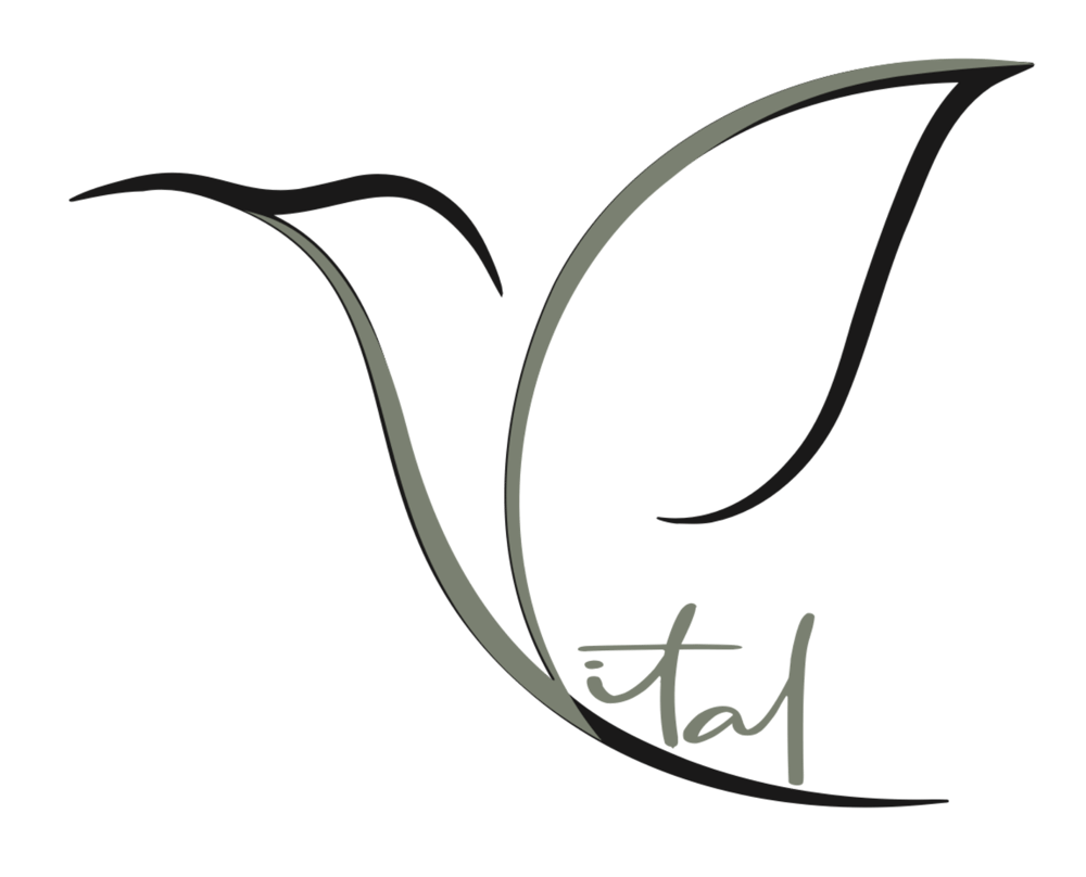 Stilisiertes schwarzes und graues Vogellogo mit dem Wort „vital“ in Grau.