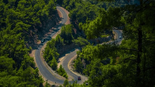 A paved mountain road winding down through dense forest, the kind of long canyon descent where brake fade catches Sandy, Utah drivers out.