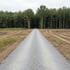 Gerodete Fläche am Waldrand mit neu angelegtem Schotterweg – illustratives Motiv