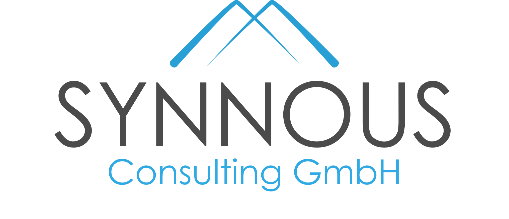 Synnous Consulting