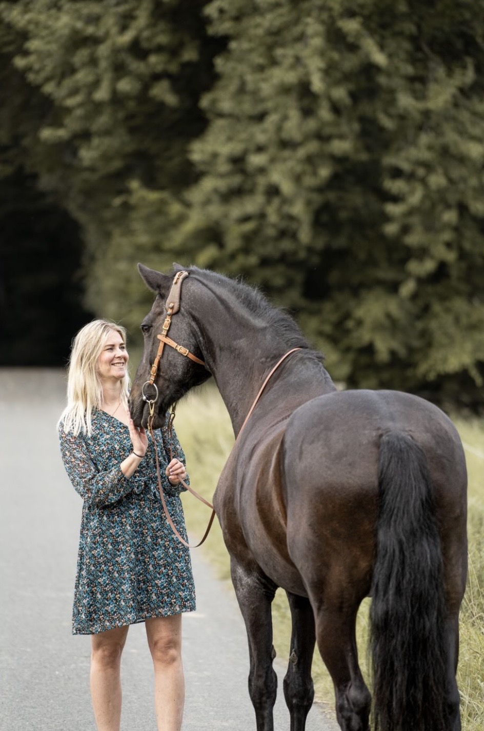 Pferdefotografie von Katharina Middendorp