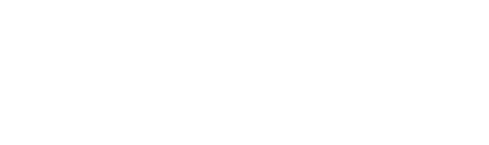 Pivotum Logo