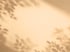 Soft shadows of tree leaves and branches are cast onto a warm, beige-colored wall in natural sunlight.