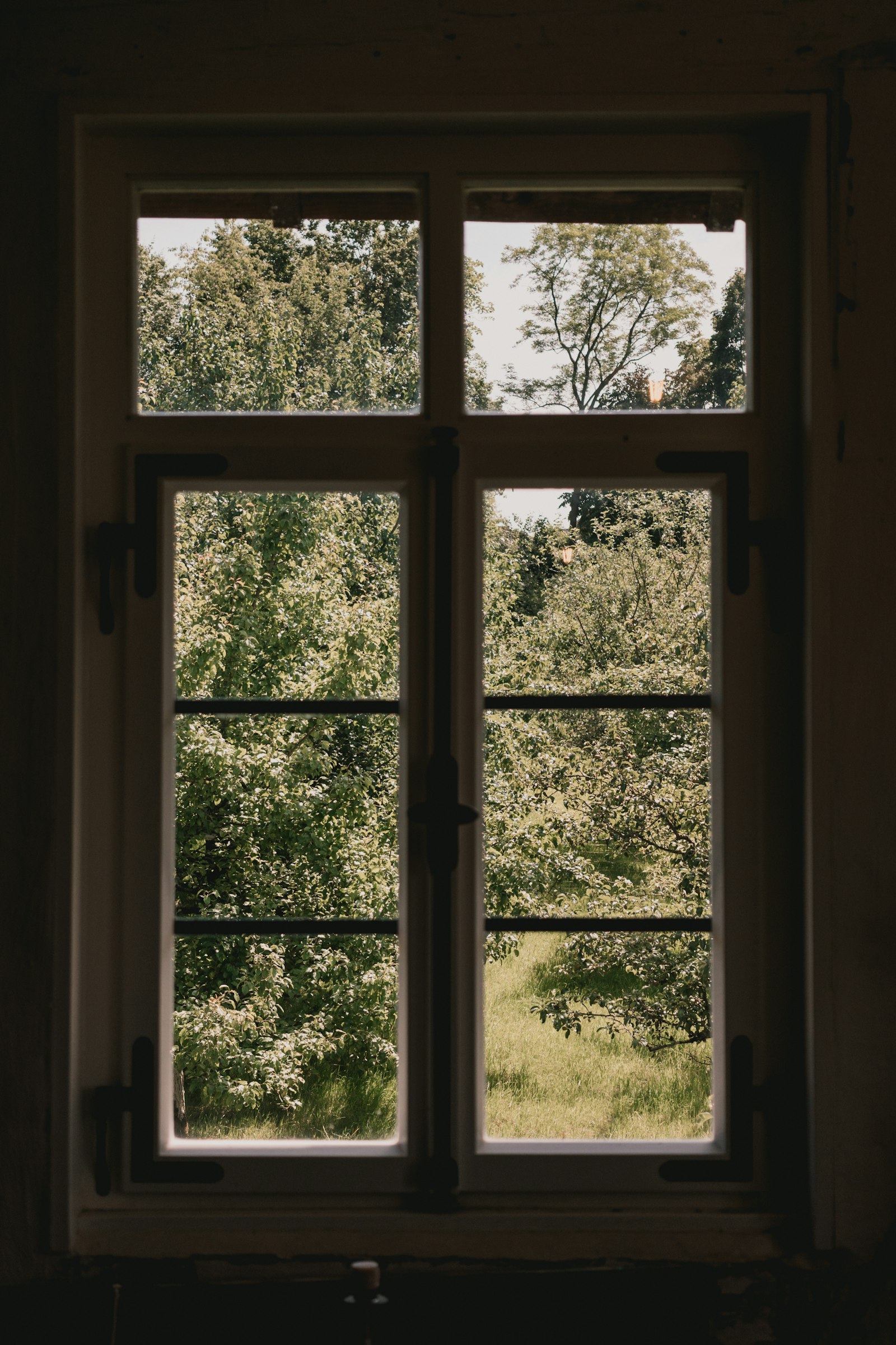 low-e glass for Texas heat: daylight coming through a large window overlooking greenery in Sugar Land