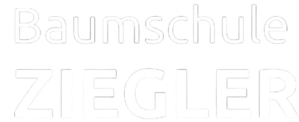 Forstbaumschule Ziegler Logo Galerie Miltenberg