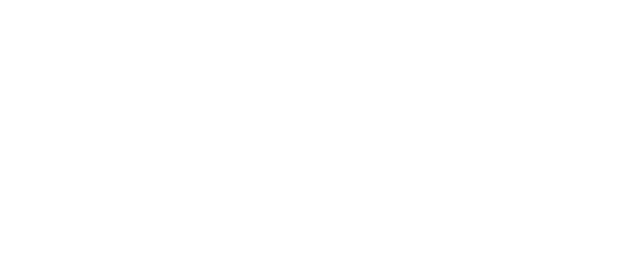 Kundenlogo 12
