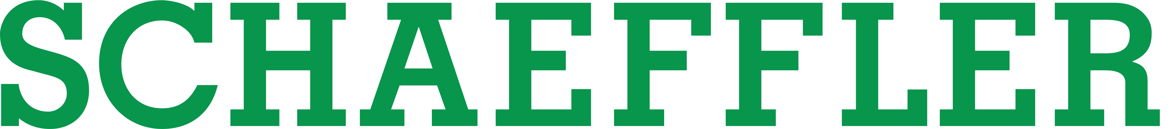Schaeffler_logo.svg.webp