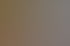 Ads