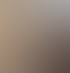 SPEEDSCALING