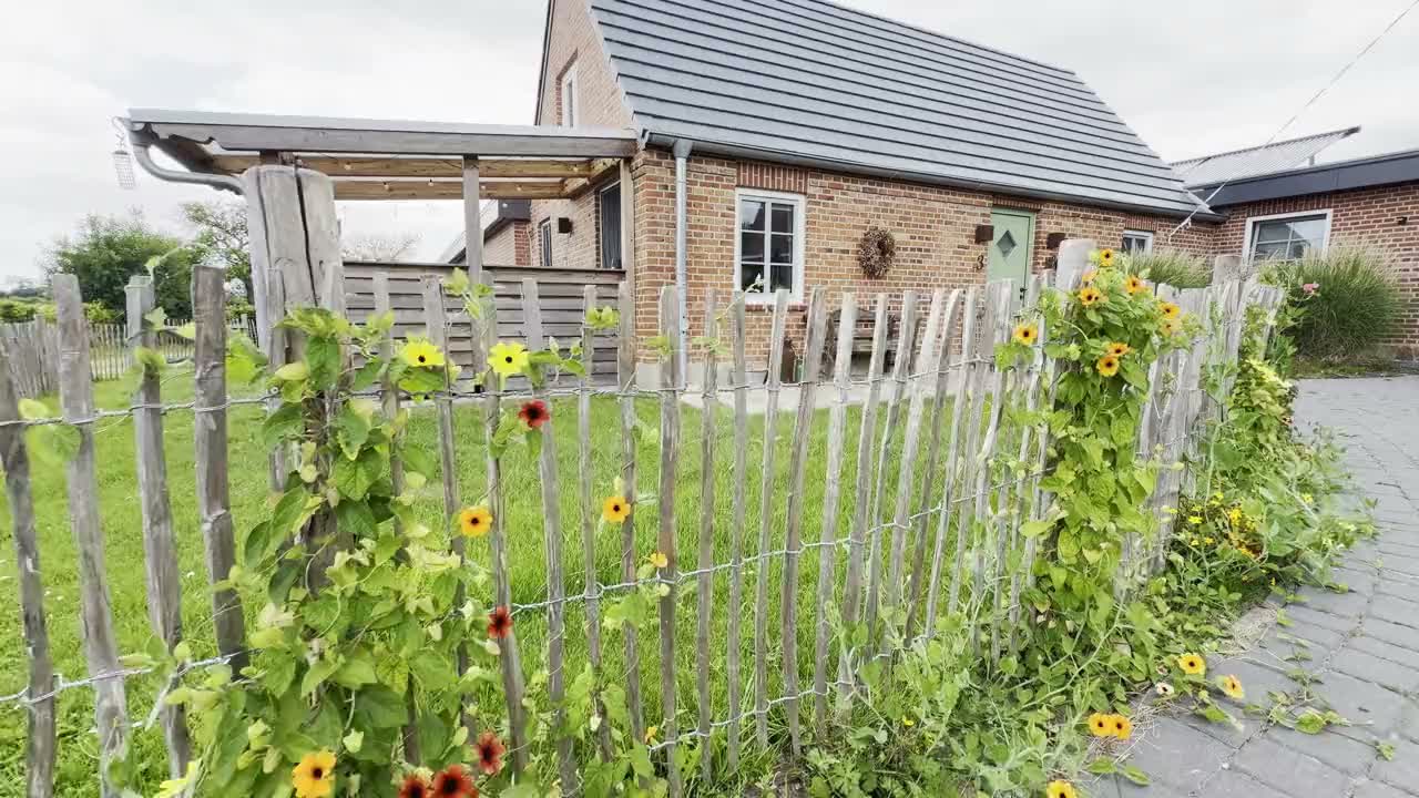 Backhuus, Video-Vorschau