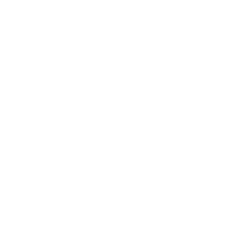 Weißes Schild-Symbol mit einem Dokument und einem Häkchen auf grünem Hintergrund - Katastrophenschutz-Software Notfall- und Krisenmanager (NKM®).