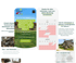 Webseiten-Layout mit Buchungsformular und Informationen zu einer Ferienwohnung in Steinheim am Albuch.
