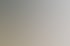 Ein Mann, eine Frau und ein Techniker untersuchen ein Fensterrahmenmodell mit einem Insektenschutzrollo.