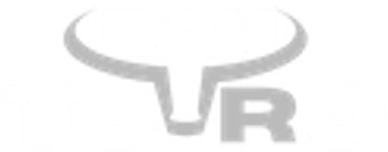 Bau Toro