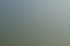 Visualisierung PINUS