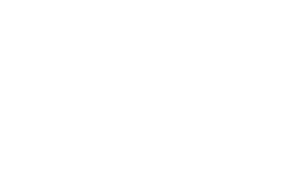 Weißes Logo der FISCHER GRUPPE in serifenloser Fettschrift auf schwarzem Hintergrund.