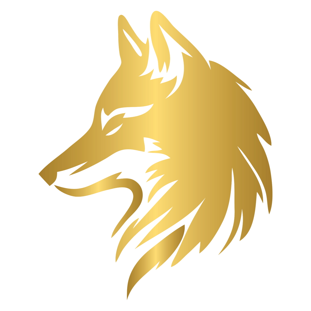 Logo mit goldenem, geometrischem "M"-Symbol und den Wörtern "Marius Mödinger Strength & Transformation".