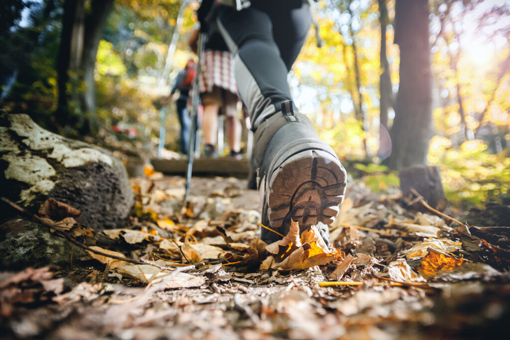 Wandern in Reit im Winkl