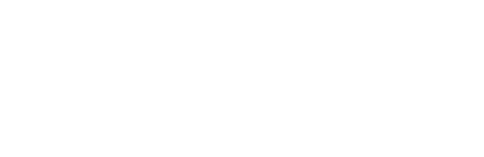 W. Niemann Überseetransporte