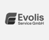Evolis Service GmbH Logo mit stilisiertem, dunklem E-Symbol.