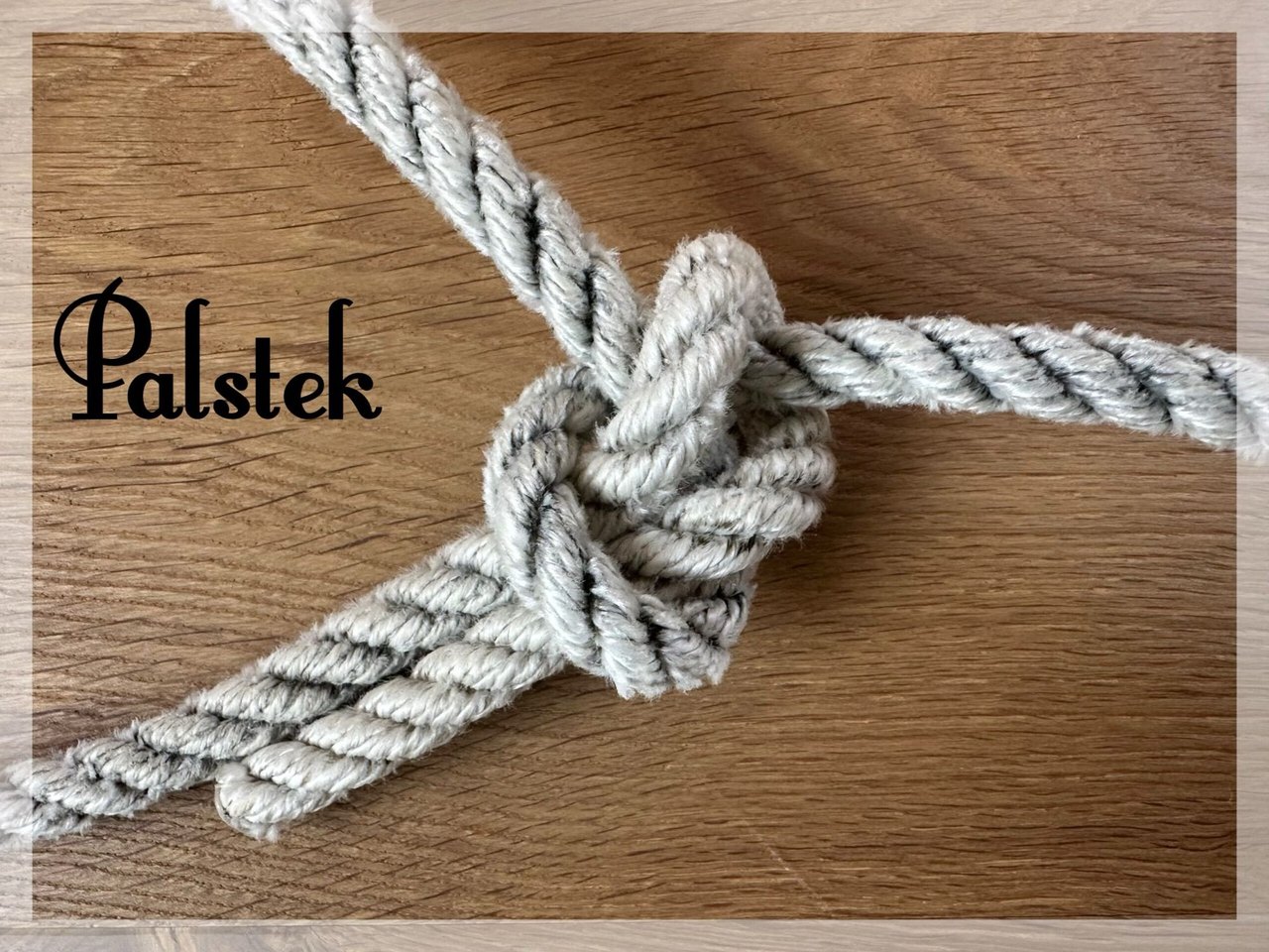 Palstek-Knoten aus hellem Seil auf Holz mit dem Schriftzug Palstek