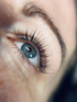 Nahaufnahme eines Lashliftings – sanft geliftete und gefärbte Naturwimpern im Fany Beauty Salon Zweibrücken