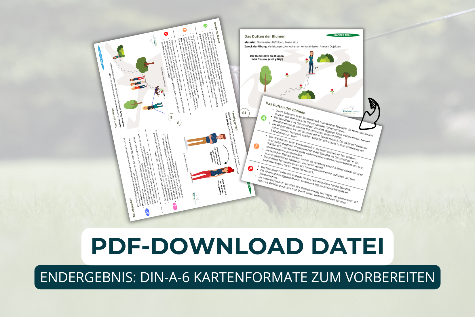 Übungskonzept Mantrailing – Bild 3
