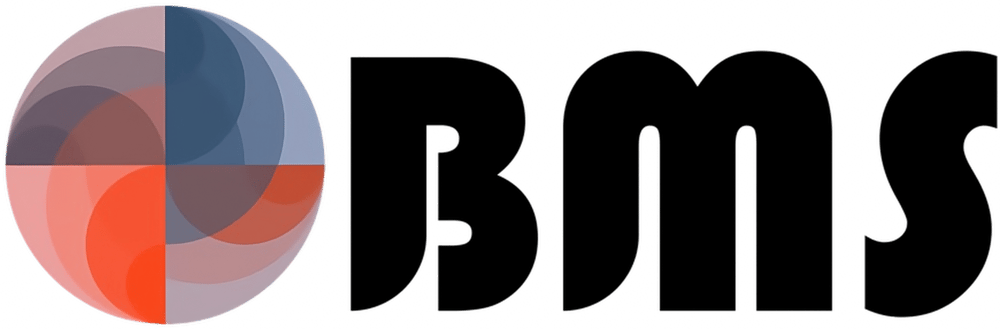 Logo der BMS Lüftungsreinigung. Einsatzgebiet: Deutschland, Österreich & Schweiz