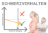 Diagramm "SCHMERZVERHALTEN" zeigt Schmerzstärke und Anzahl der Bewegung mit X und Häkchen, dazu Frau und Physiotherapeut.