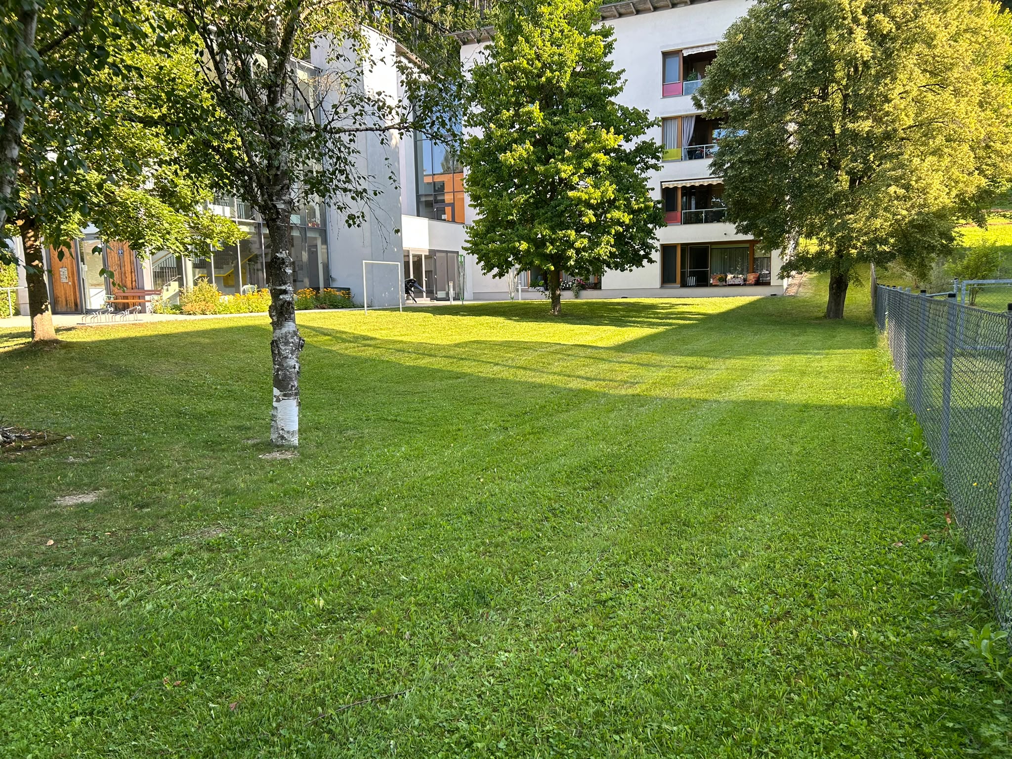 Professioneller Aufsitzmäher im Einsatz