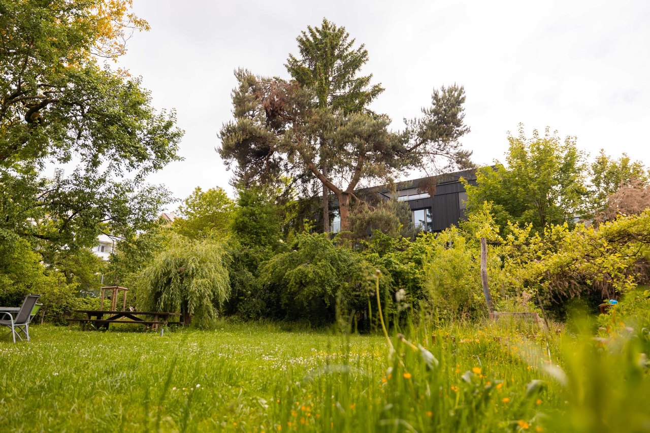 Grosser Garten mit Wiese und Bäumen.