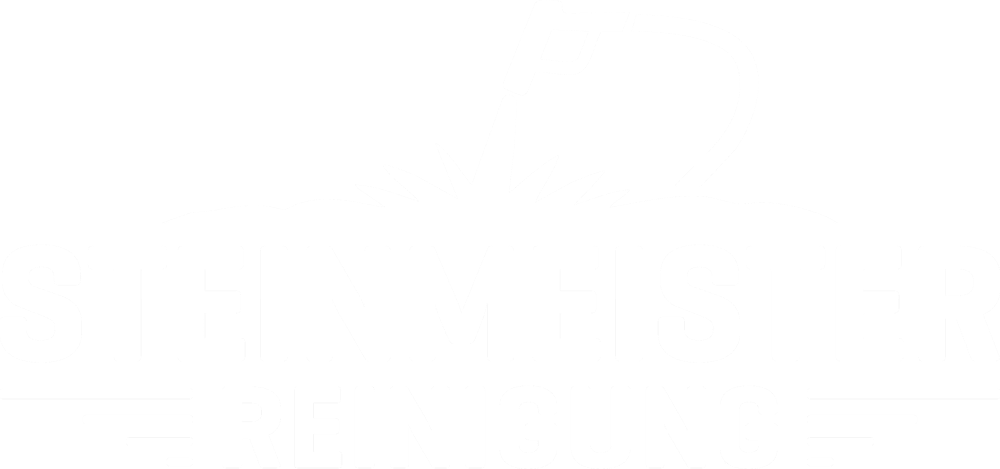 Logo mit Hochdruckreiniger, der Wasser auf die Schriftzüge "STEINMEISTER" und "REINIGUNG" sprüht.