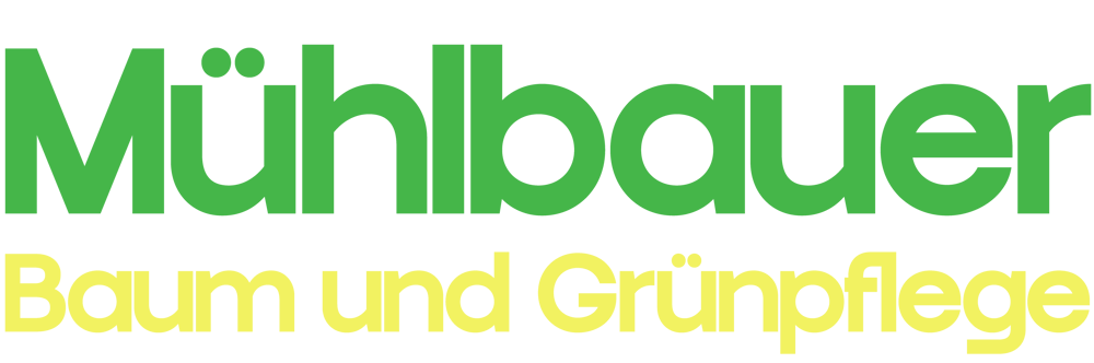 Mühlbauer Baum und Grünpflege Logo mit grünem Text oben und gelbem Text unten auf schwarzem Hintergrund.