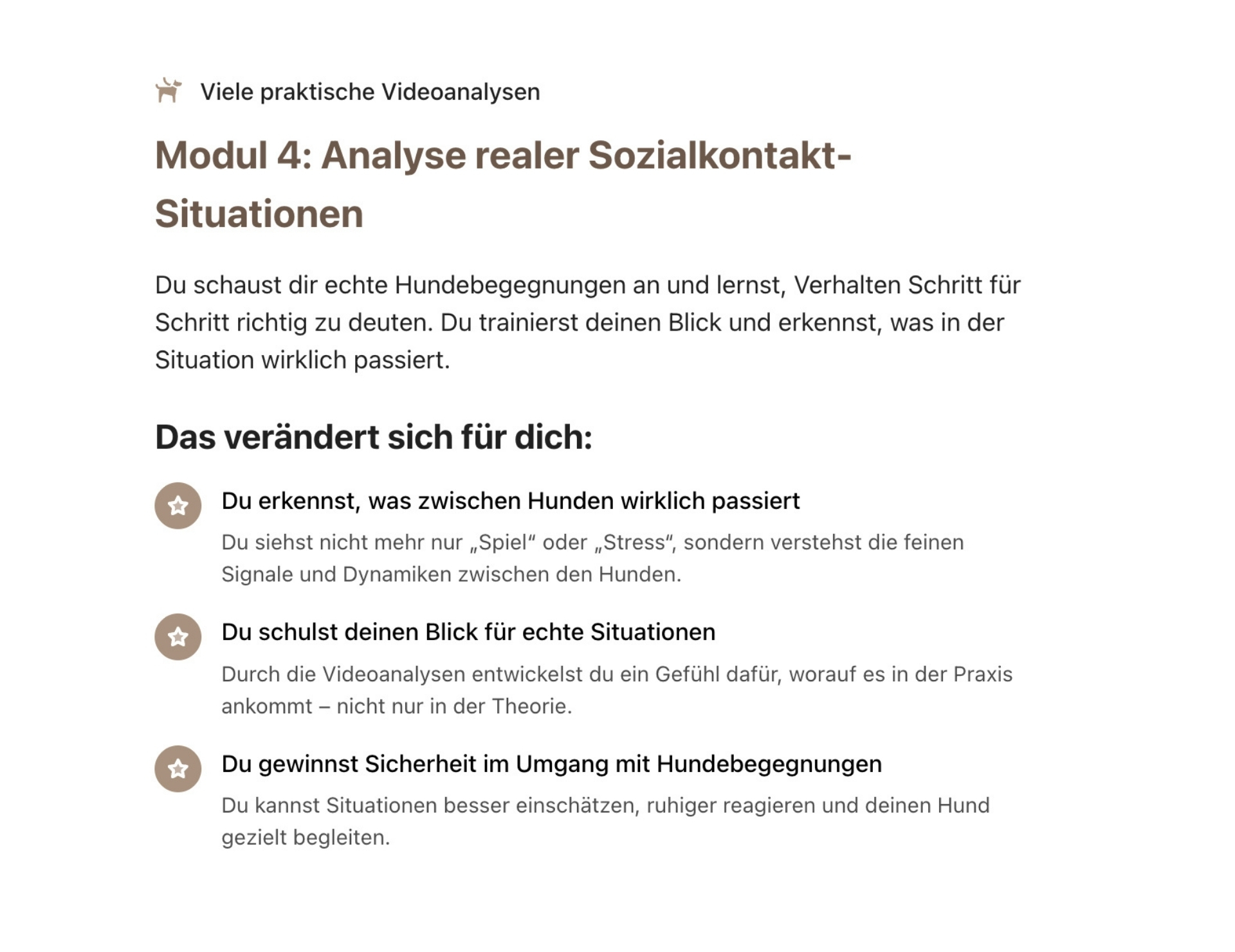 Was will dein Hund dir sagen? – Bild 10