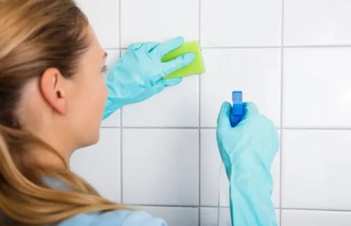 Gründliche Reinigung nach professionellen Standards