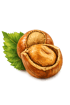 Eine ganze Haselnuss, eine halbierte Haselnuss mit sichtbarem Kern und ein grünes Blatt.