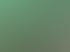 Grüne Förderbänder mit gelben Kartoffeln in einer industriellen Lagerhalle unter grünem Licht.