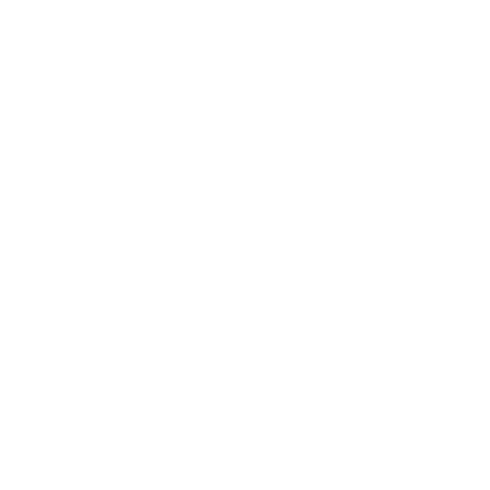 Logo, DR Beratung, hell