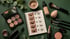 Make-up-Produkte auf grünem Hintergrund, mit einem Notizbuch über Augen-Make-up-Anleitungen im Mittelpunkt.
