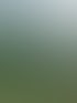 Gartenpflege in Cottbus & Heckenschnitt | Hecken & Halm