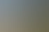 Eine Gruppe von 13 Personen jubelt vor einem Schloss und blühenden Blumen.