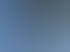 Baumpfleger mit Kletterausrüstung und Kettensäge schneidet Äste in der Krone einer hohen Tanne bei blauem Himmel.