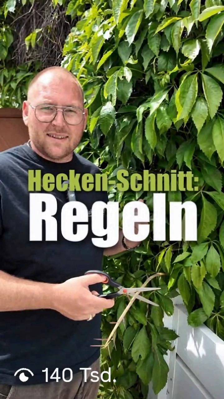Reel für FairGarden zum Thema Hecken-Schnitt, 140 Tausend Aufrufe