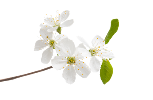 4c6f9e0c-bf90-4136-915b-3586b8b7f565.png