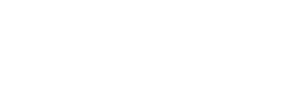 Castillo Consulting