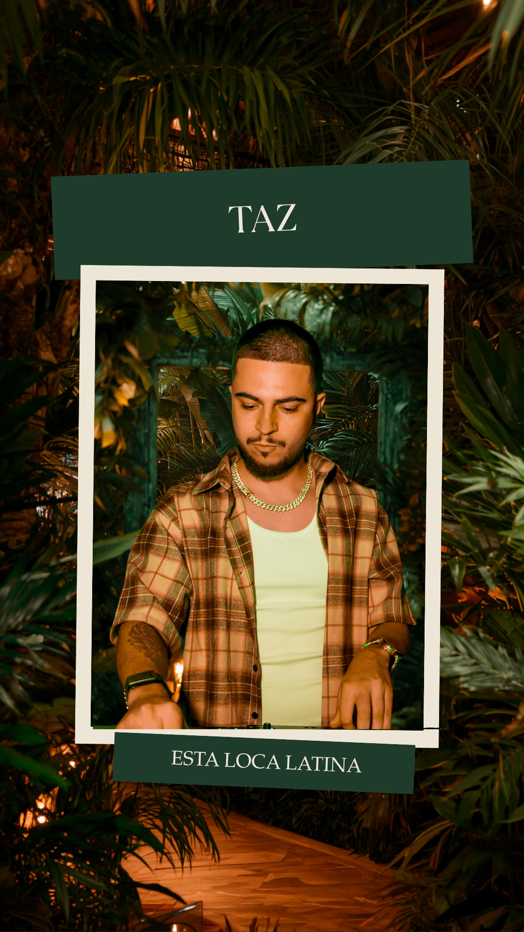 DJ TAZ