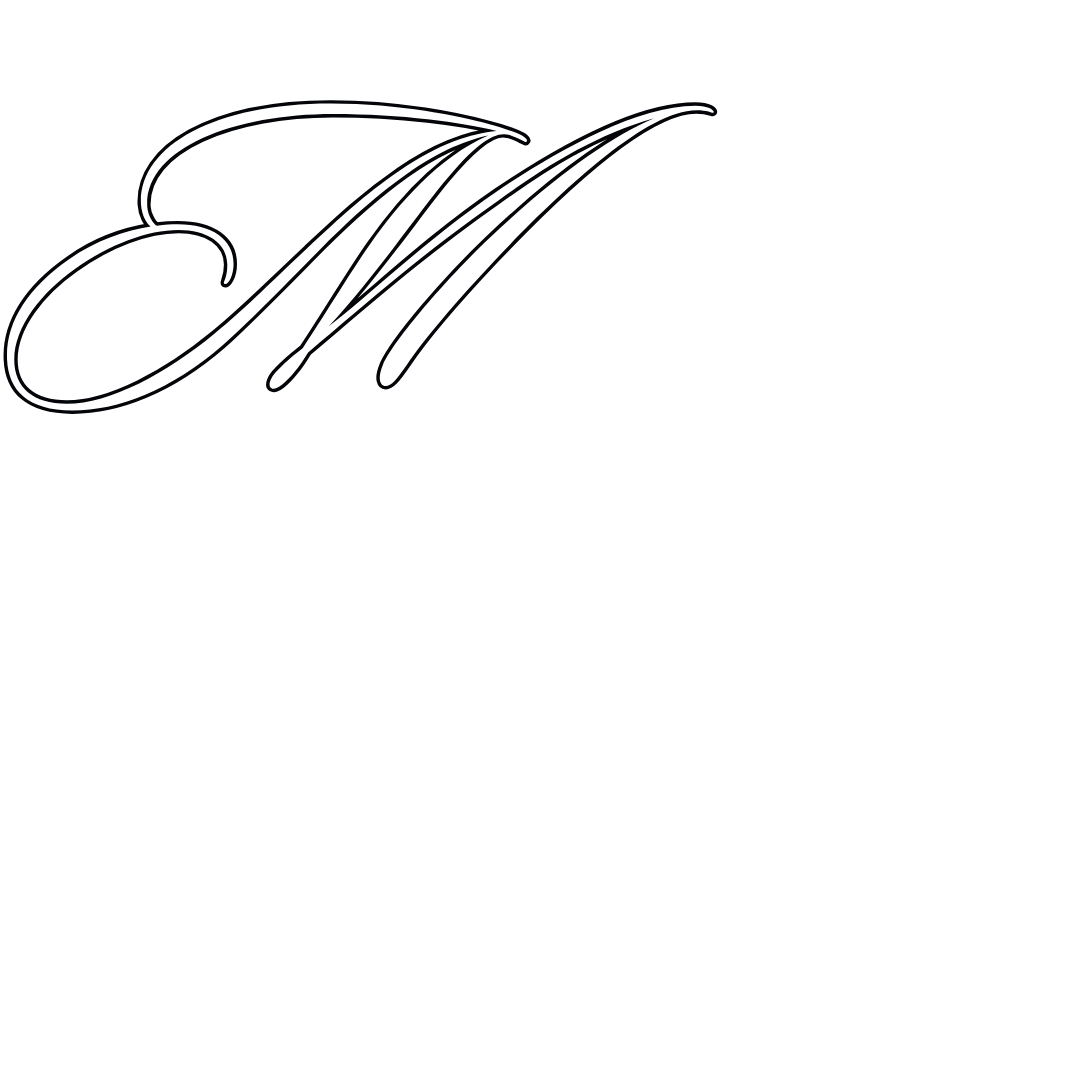 Meet our team