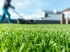 Gartenservice in Unna | Hecken und Rasenpflege