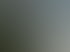 Überdachter Weg mit Glasdach und silbernen Stützen neben einer weißen Wand und Bäumen.